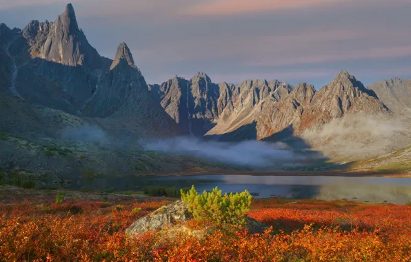 Picture landscape, mountains, nature, fog, Vladimir Ryabkov, the lake of Jack London