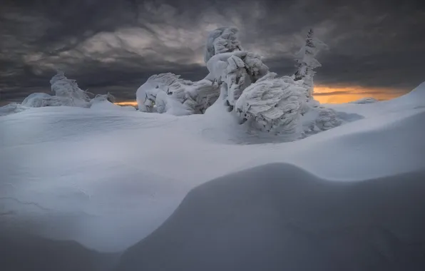 Winter, the sky, snow, clouds, in the snow, ate, the snow, relief