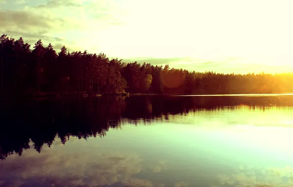 Forest, sunset, lake, reflection, the sun, Flawless
