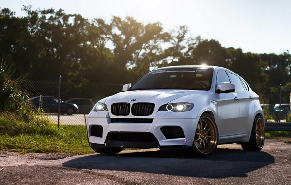 Picture white, trees, bmw, BMW, shadow, white, crossover, x6m