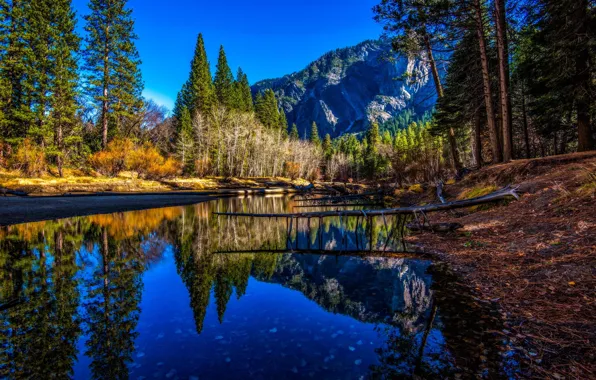 Trees, mountains, river, shore, tops, USA, Yosemite national park, Yosemite national Park