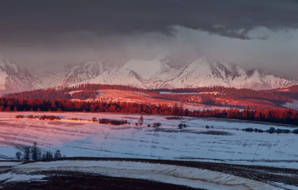 Forest, the sky, light, mountains, clouds, valley