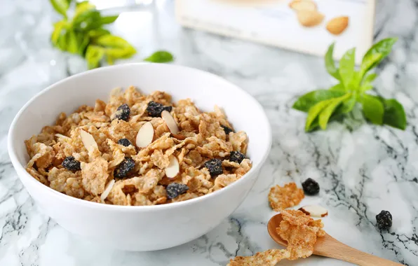 Berries, Breakfast, cereal, muesli