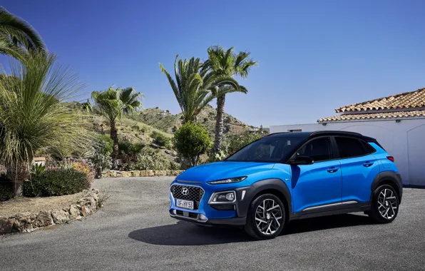 Picture Hyundai, Hybrid, crossover, KONA, 2019