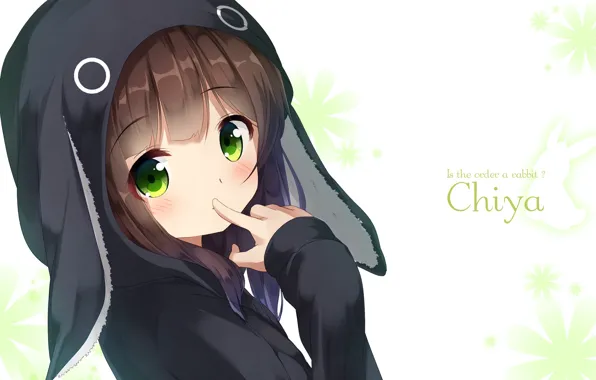 Art, girl, Bunny, Rabbit Ordered?