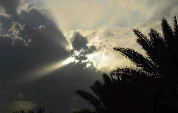 Nature, Sky, Yellow
