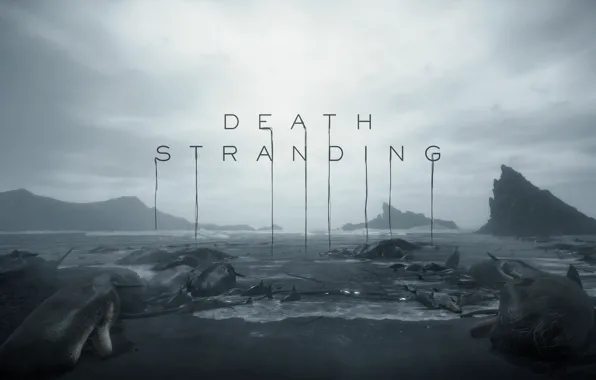 Coast, Apocalypse, sperm whale, Norman Reedus, dead fish