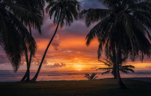 Sand, sea, beach, summer, the sky, the sun, clouds, trees