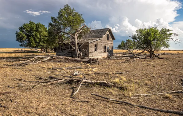 Field, the sky, trees, house