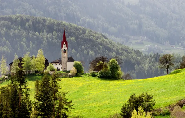 Picture forest, grass, mountains, nature, home, spring, chapel