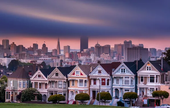The sky, trees, the city, home, treatment, the evening, San Francisco, USA