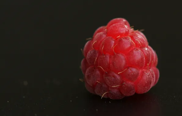 Red, berries, raspberry, the dark background