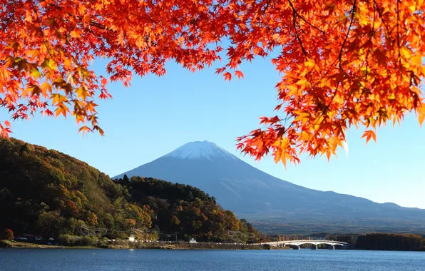 Autumn, the sky, leaves, trees, bridge, lake, Japan, mount Fuji