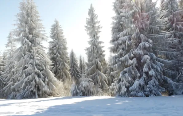 Graphics, Zima, trees, Fractailus