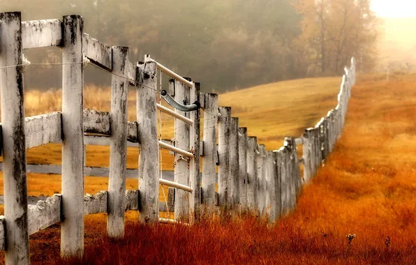 NATURE, GRASS, FIELD, YELLOW, The FENCE, FENCE