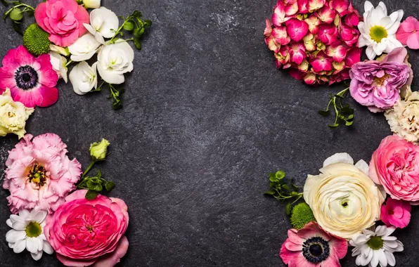 Flowers, background, hydrangea, eustoma