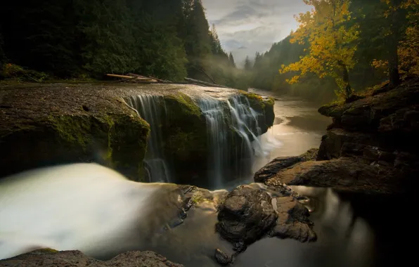 Trees, landscape, river, stones, the flow of water