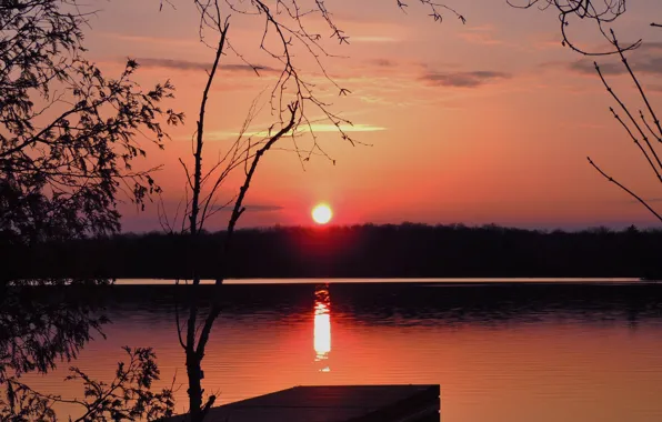 Picture forest, the sky, the sun, trees, sunset, lake, river, the bridge