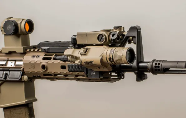 Macro, flashlight, optics, assault rifle