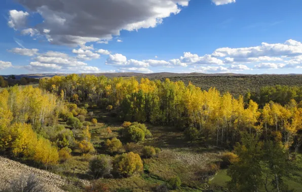 Picture Autumn, Panorama, Utah, USA, USA, Fall, Autumn, Utah