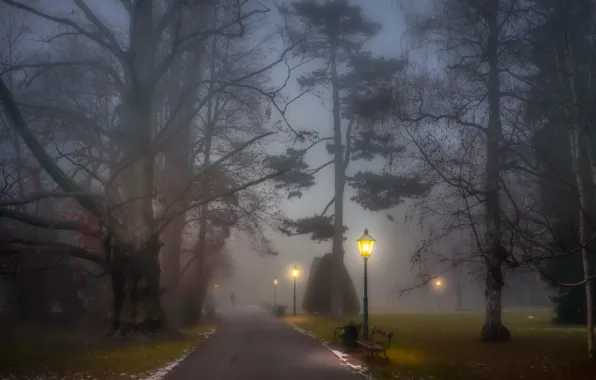 Picture fog, Park, lights, alley