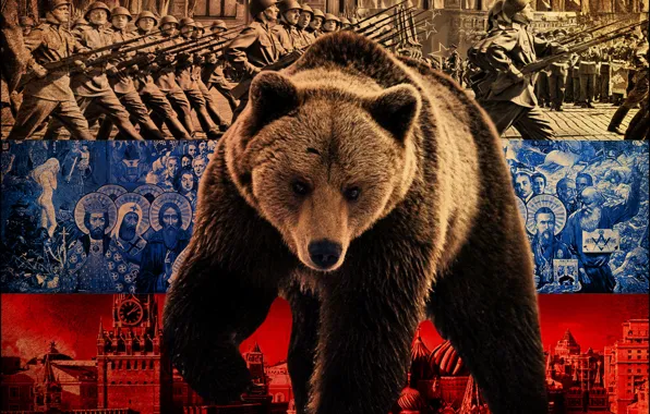Flag, bear, policy, Russia