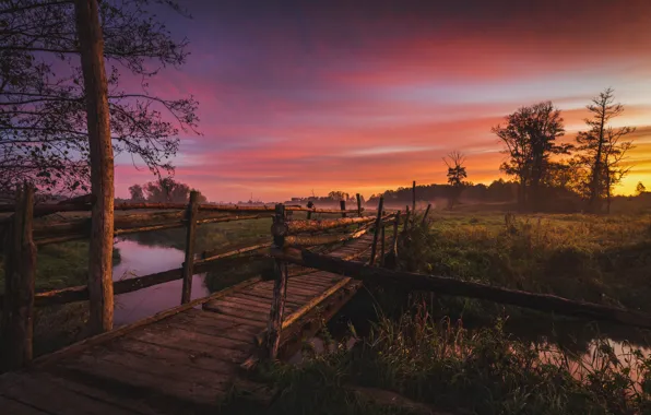 Picture landscape, nature, fog, tree, dawn, field, morning, the bridge