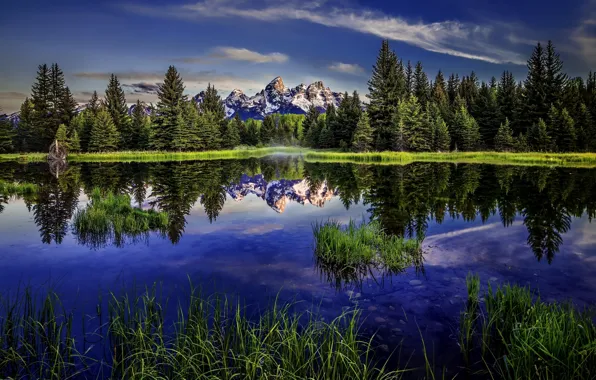 Forest, lake, reflection, Wyoming, Wyoming, Grand Teton, Grand Teton National Park, Rocky mountains