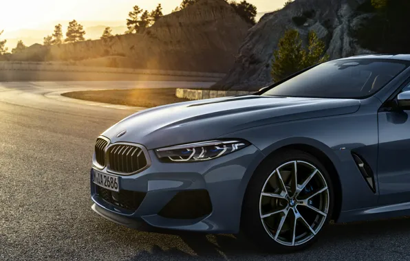 Rays, light, coupe, BMW, Coupe, 2018, the front part, gray-blue