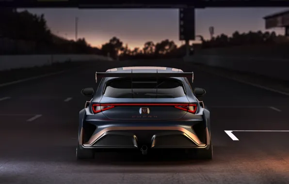 The evening, rear view, Leon, Competition, Seat, Cupra, 2020