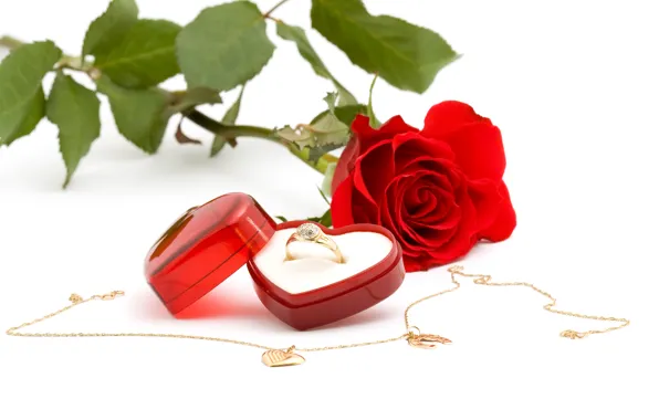 Flower, leaves, decoration, gift, rose, ring, chain, red