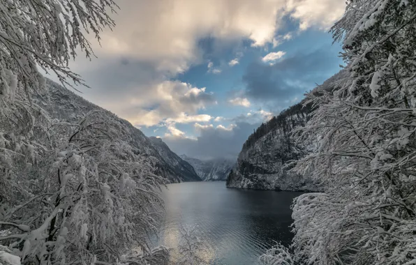 Winter, snow, trees, mountains, branches, lake, Germany, Bayern
