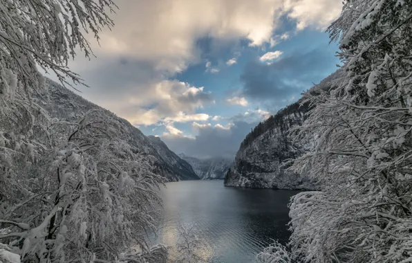 Picture winter, snow, trees, mountains, branches, lake, Germany, Bayern