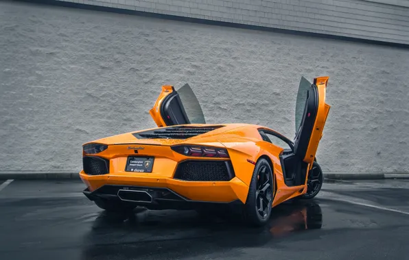 Picture Lamborghini, Auto, Rain, LP700-4, Aventador, Wet, Rear, Asphalt