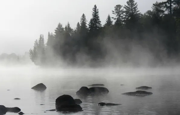Picture Fog, Lake, Forest, Morning, Nature, Landscape, Morning, Fog