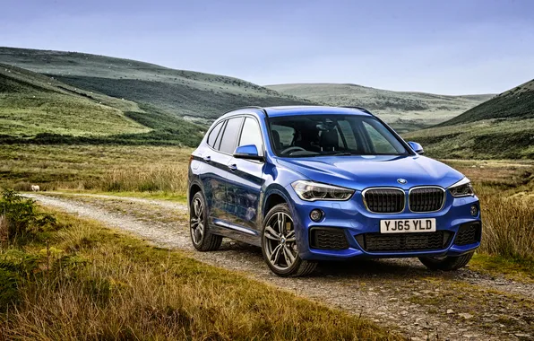 Picture BMW, BMW, crossover, xDrive, 2015, F48, X1 M