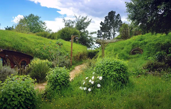 Picture greens, forest, flowers, hills, foliage, roses, New Zealand, house