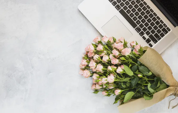 Flowers, roses, bouquet, laptop, pink, pink, flowers, beautiful