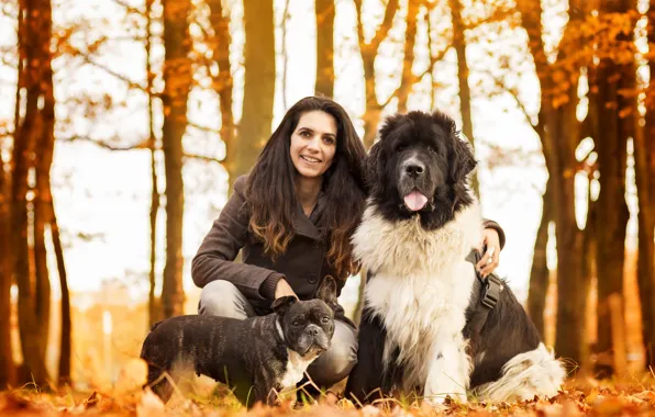 Picture autumn, dogs, woman