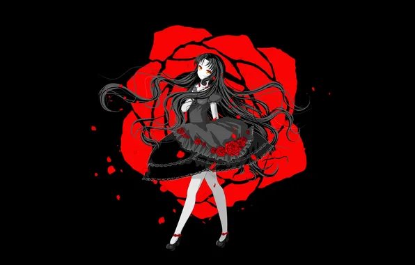 Picture look, girl, roses, anime, petals, dress, black background