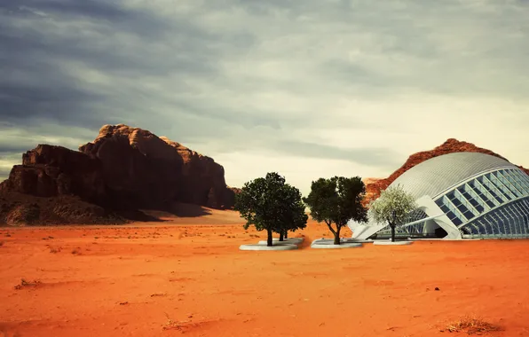 Sand, the sky, trees, House