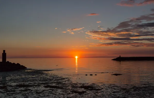 Sea, landscape, sunset