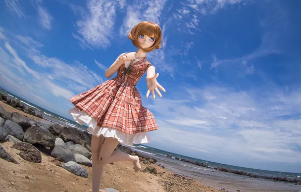 Picture sea, the sky, nature, stones, toy, doll