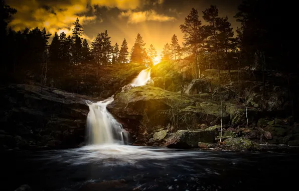 Forest, river, waterfall