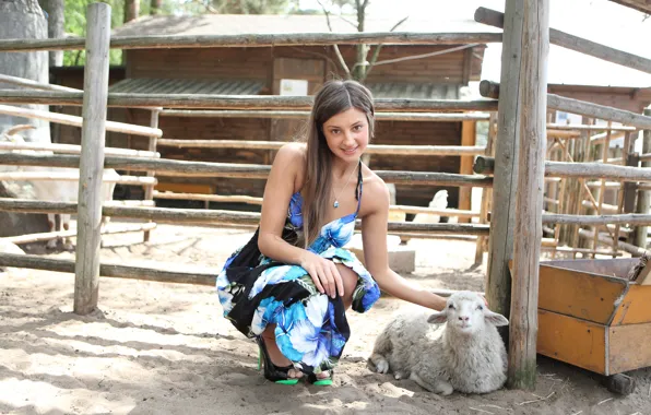 Picture maria, sheep, farm, maria ryabushkina, thalia, Melena