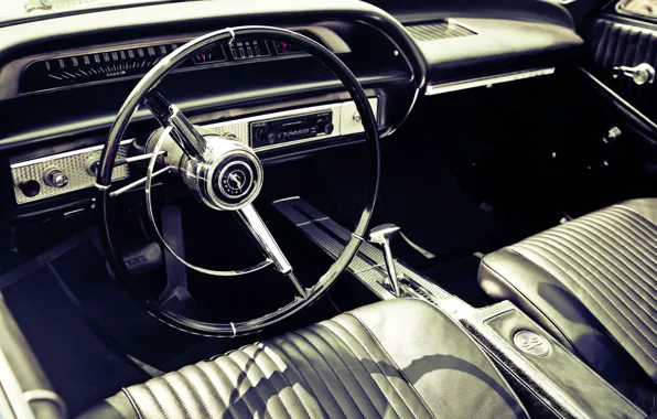 Picture car, panel, leather, devices, the wheel, salon, photo, photographer