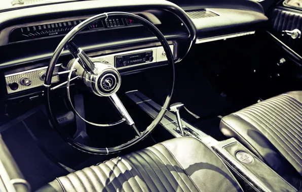 Car, panel, leather, devices, the wheel, salon, photo, photographer