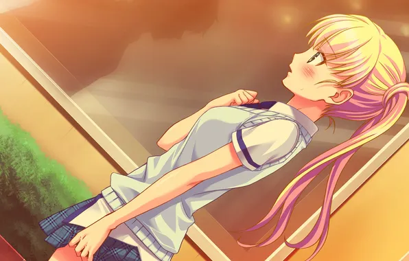 Girl, sunset, surprise, art, embarrassment, no pantsu!!, sayori konoshiro