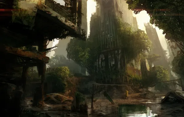 Trees, the city, Apocalypse, swamp, ruins, crysis 3