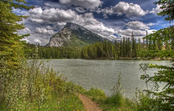 Forest, clouds, trees, lake, shore, mountain, trail, Canada